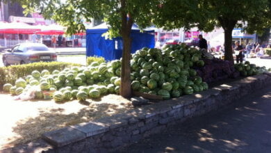 В центре Корабельного района "расположился беспредел" или "Как же красива эта арбузная клумба!" | Корабелов.ИНФО image 1