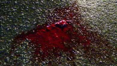 "Было много крови". На пр. Богоявленском в Корабельном районе Николаева автомобиль сбил ребенка | Корабелов.ИНФО