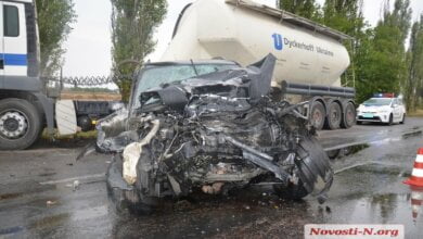 Под Николаевом произошла тяжелая авария из-за метавшихся по салону авто собак | Корабелов.ИНФО