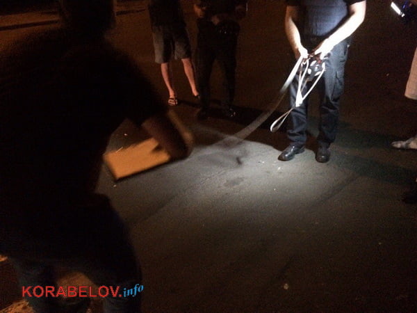 оформление ДТП