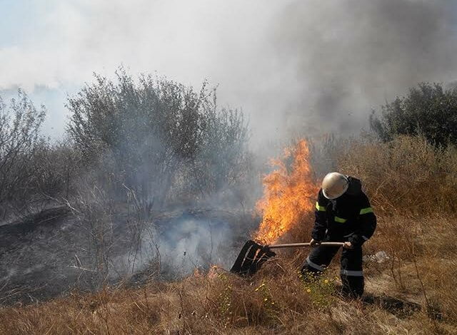 Горить трава і сміття, за добу на Миколаївщині - 20 пожеж на відкритих територіях | Корабелов.ИНФО