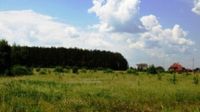 В Витовском районе предприятие несколько лет незаконно пользовалось землей | Корабелов.ИНФО