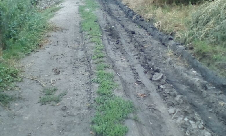 "Спасите нас из грязного плена!!!" - жительница Широкой Балки о местных дорогах | Корабелов.ИНФО image 2