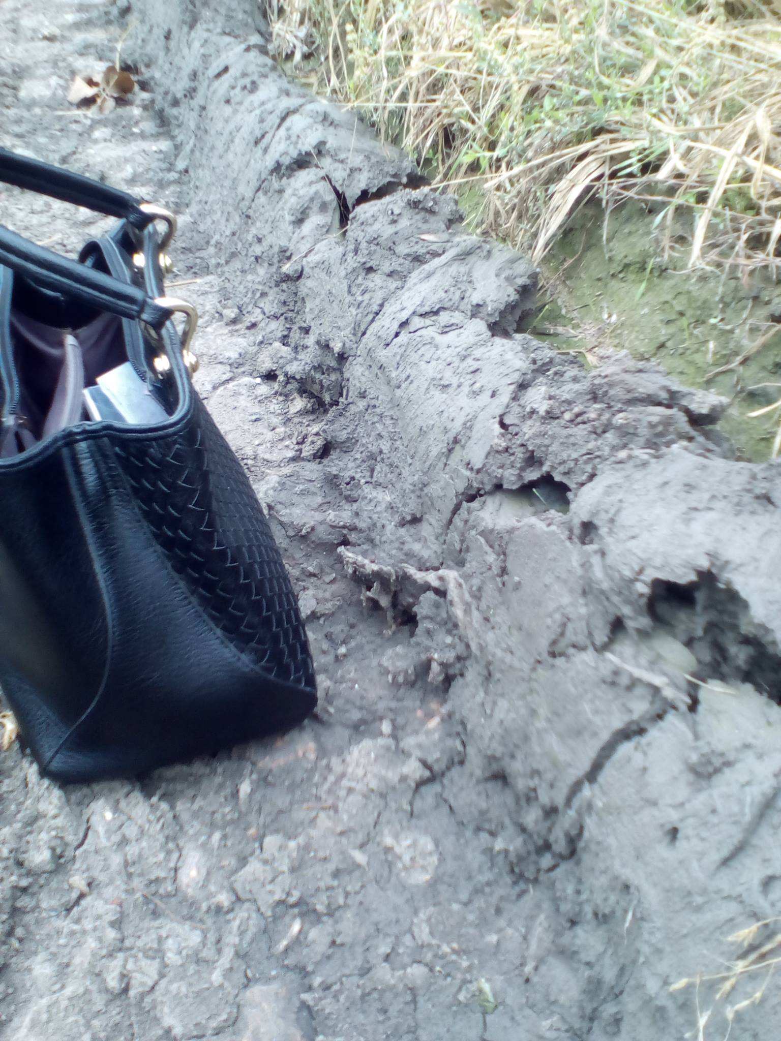 14524462_1119088368126487_4725461416061647102_o