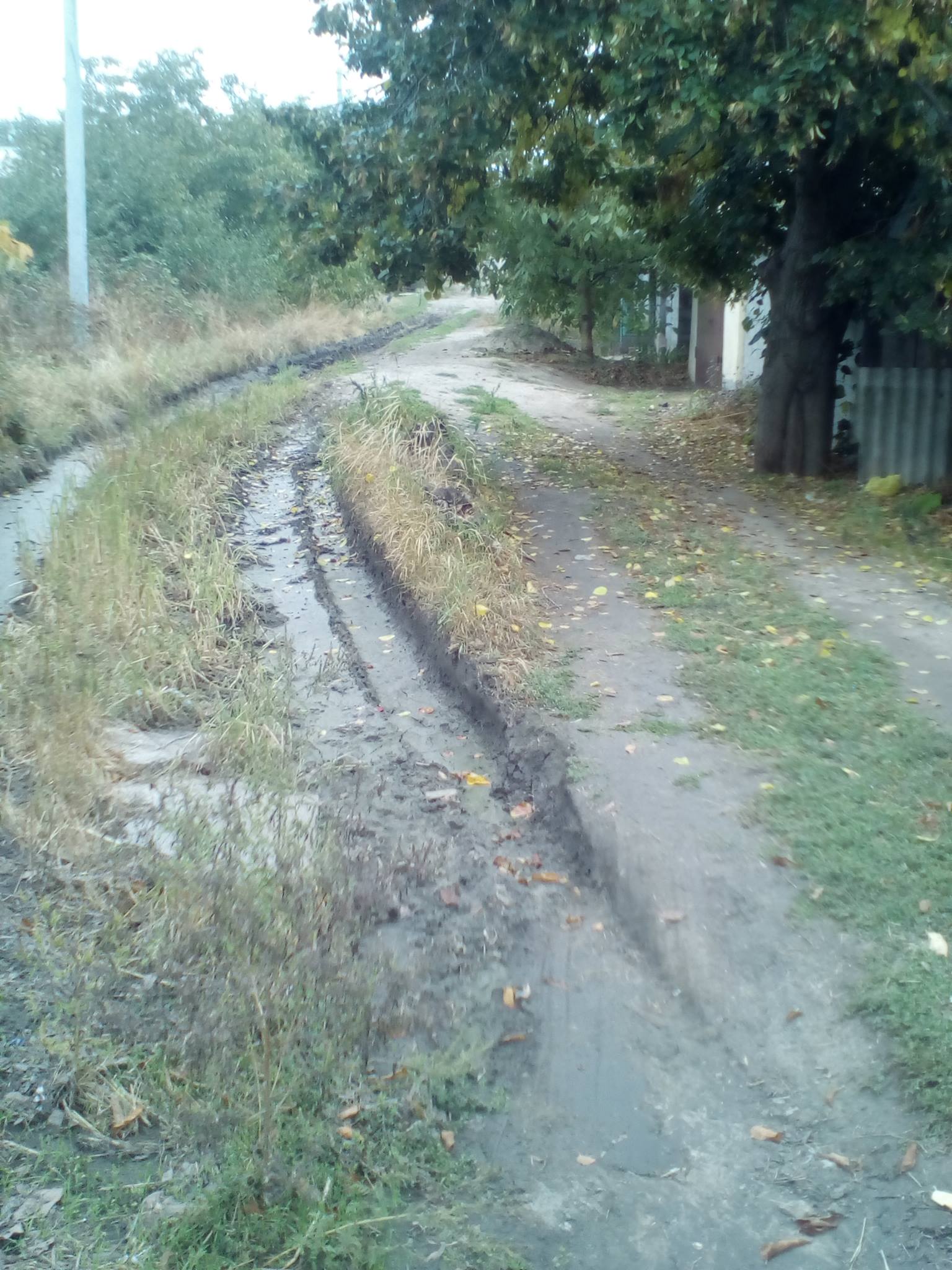 14524947_1119088374793153_7581300956343804670_o