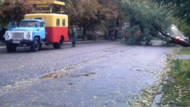 В Николаеве за ночь упали 120 деревьев, за один день с последствиями стихии в городе не справятся | Корабелов.ИНФО image 1