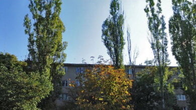 «Гостинку» на околиці Миколаєва можна придбати за $9-10 тис. | Корабелов.ИНФО image 2