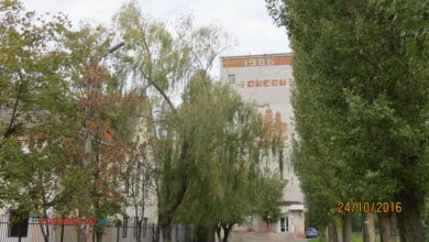 Пользователи интернета в ходе опроса назвали Николаев самым грязным городом Украины | Корабелов.ИНФО image 14