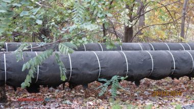 Пользователи интернета в ходе опроса назвали Николаев самым грязным городом Украины | Корабелов.ИНФО image 17