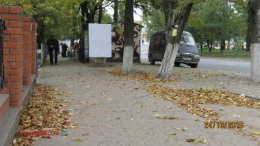 Пользователи интернета в ходе опроса назвали Николаев самым грязным городом Украины | Корабелов.ИНФО image 25