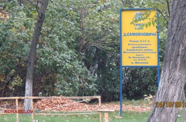 Пользователи интернета в ходе опроса назвали Николаев самым грязным городом Украины | Корабелов.ИНФО image 29