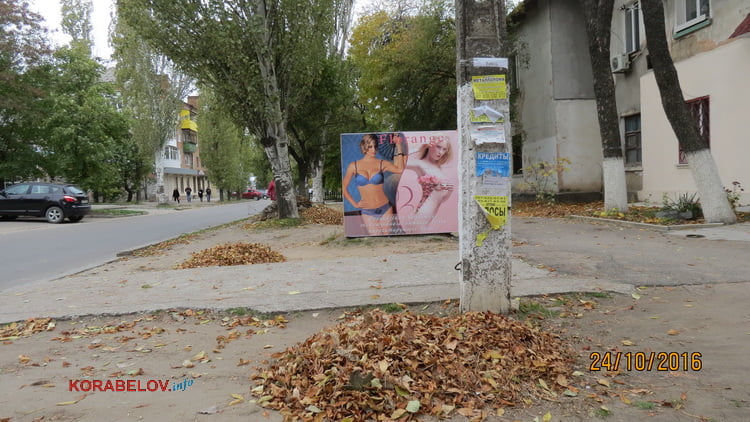 Пользователи интернета в ходе опроса назвали Николаев самым грязным городом Украины | Корабелов.ИНФО image 32