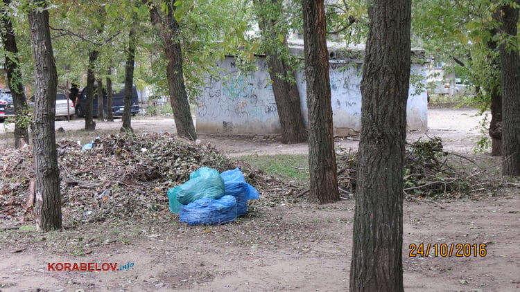 Пользователи интернета в ходе опроса назвали Николаев самым грязным городом Украины | Корабелов.ИНФО image 35