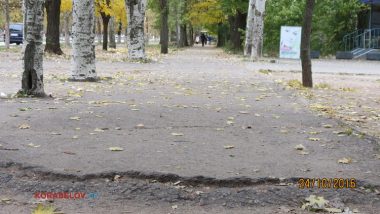 Пользователи интернета в ходе опроса назвали Николаев самым грязным городом Украины | Корабелов.ИНФО image 37