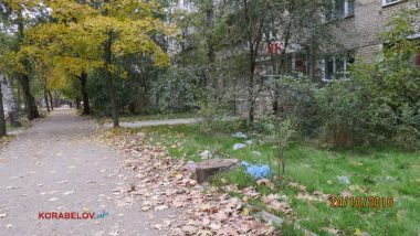 Пользователи интернета в ходе опроса назвали Николаев самым грязным городом Украины | Корабелов.ИНФО image 39