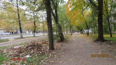 Пользователи интернета в ходе опроса назвали Николаев самым грязным городом Украины | Корабелов.ИНФО image 40