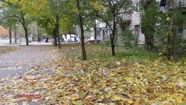 Пользователи интернета в ходе опроса назвали Николаев самым грязным городом Украины | Корабелов.ИНФО image 41