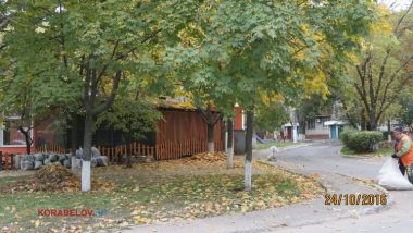 Пользователи интернета в ходе опроса назвали Николаев самым грязным городом Украины | Корабелов.ИНФО image 51