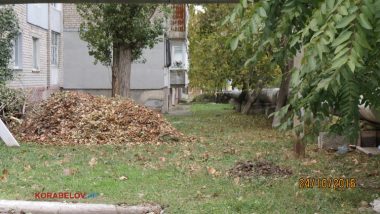 Пользователи интернета в ходе опроса назвали Николаев самым грязным городом Украины | Корабелов.ИНФО image 60