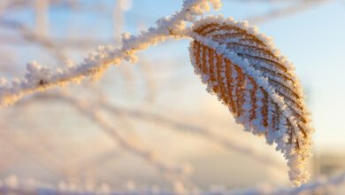 В Украине ожидается ухудшение погоды: возможны дожди с мокрым снегом и заморозки | Корабелов.ИНФО