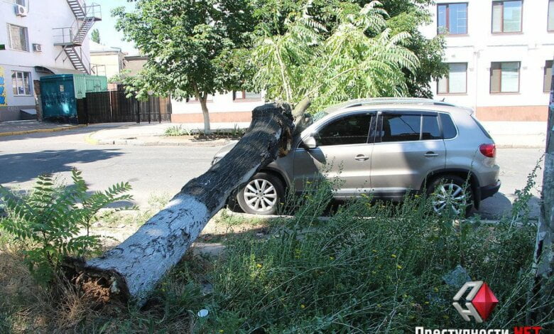 Мэрия вновь объявила штормовое предупреждение и просит николаевцев не ставить машины под деревьями | Корабелов.ИНФО