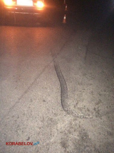 Пьяный водитель "Шевроле" после ДТП в Корабельном районе попытался скрыться с места проишествия | Корабелов.ИНФО image 6