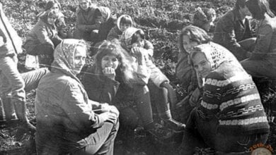 Красные от помидор поля просто запахивались. Народная “битва с урожаем” в Корабельном в 70-е годы | Корабелов.ИНФО image 2