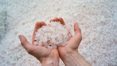 Николаев заплатит за соль 3 млн грн  фирме с учредителем из ЛНР, - СМИ | Корабелов.ИНФО