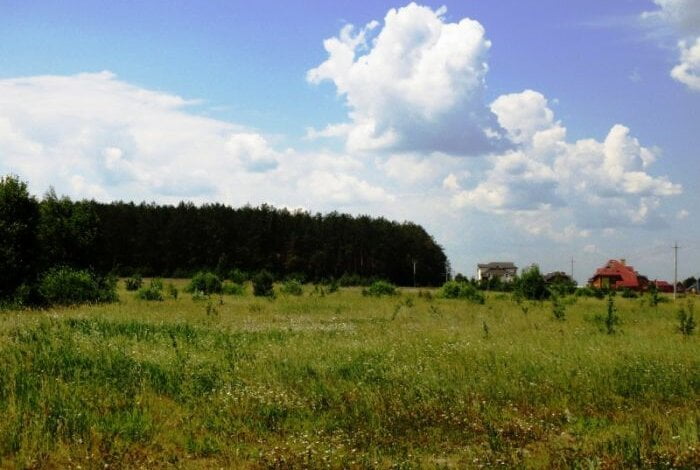 "В Николаеве нет мест для захоронения". Минобороны выделило под новое городское кладбище 10 га в Витовском районе | Корабелов.ИНФО