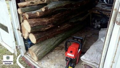 В Корабельному районі затримали "лісоруба" | Корабелов.ИНФО