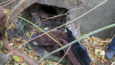 В Корабельном задержали вора с мешком бутылок с алкоголем: хотел выпить сам и поделиться с друзьями | Корабелов.ИНФО image 1