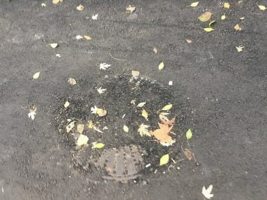 Житель Корабельного района возмутился ужасным ремонтом дороги по ул. Ольжича | Корабелов.ИНФО image 8