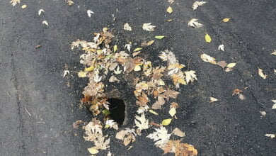 Житель Корабельного района возмутился ужасным ремонтом дороги по ул. Ольжича | Корабелов.ИНФО image 1