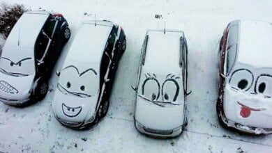 В Николаеве 15 ноября ожидается мокрый снег, - гидрометцентр | Корабелов.ИНФО