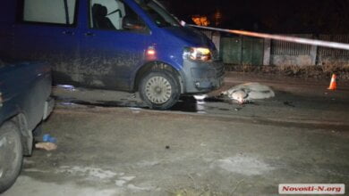 В Корабельном районе микроавтобус насмерть сбил бабушку, переходящую дорогу с коровой и козами | Корабелов.ИНФО image 1