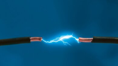 В Николаеве на заводе от удара током погибла женщина-кинолог | Корабелов.ИНФО