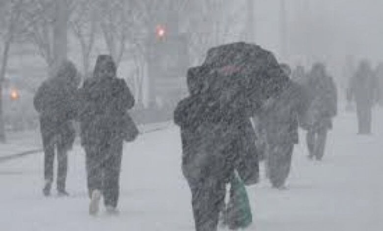 В Николаев идет зимнее похолодание: синоптики обещают морозы, снег и гололедицу | Корабелов.ИНФО