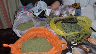 У двух жителей села в Витовском районе изъяли 9 кг  каннабиса | Корабелов.ИНФО image 1