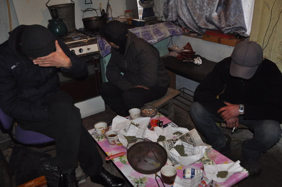 У двух жителей села в Витовском районе изъяли 9 кг каннабиса | Корабелов.ИНФО image 3