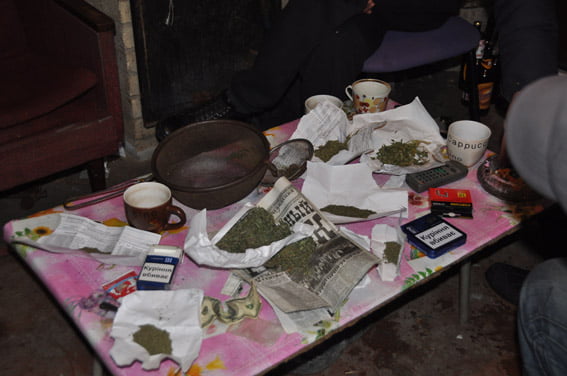 У двух жителей села в Витовском районе изъяли 9 кг каннабиса | Корабелов.ИНФО image 4