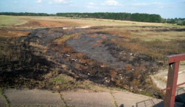 Осушали, копали, рубили... Жители Корабельного района VS природа - сквозь призму времени (ФОТО) | Корабелов.ИНФО image 2