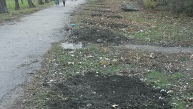 Варвары похитили более сотни саженцев деревьев сразу же после того, как их высадили николаевцы | Корабелов.ИНФО image 1