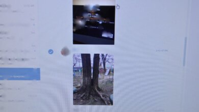 19-летний аферист в Николаеве через интернет обманывал наркоманов (видео) | Корабелов.ИНФО image 1