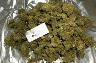 19-летний аферист в Николаеве через интернет обманывал наркоманов (видео) | Корабелов.ИНФО image 2