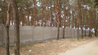 Апеляційні скарги Пеліпаса та Бабенка щодо урочища «Жовтневе» ("Маяк") залишені  без задоволення | Корабелов.ИНФО