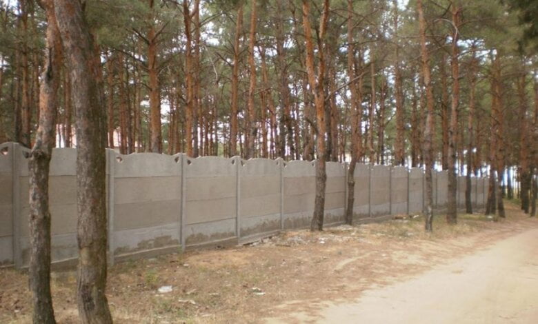 Апеляційні скарги Пеліпаса та Бабенка щодо урочища «Жовтневе» ("Маяк") залишені  без задоволення | Корабелов.ИНФО