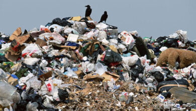 Горожан приглашают обсудить Требования к потенциальным инвесторам строительства мусороперерабатывающего завода | Корабелов.ИНФО