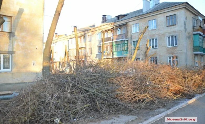 Дворы в Кульбакино оказались буквально завалены спиленными ветками | Корабелов.ИНФО image 1