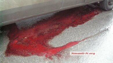 В Николаеве маршрутка сбила пешехода, неожиданно выбежавшего на дорогу | Корабелов.ИНФО image 1