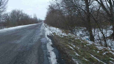 Полиция сообщает, что на «Audi» зеленого цвета скрылись грабители, отобравшие у предпринимателя 350 тыс. грн. | Корабелов.ИНФО